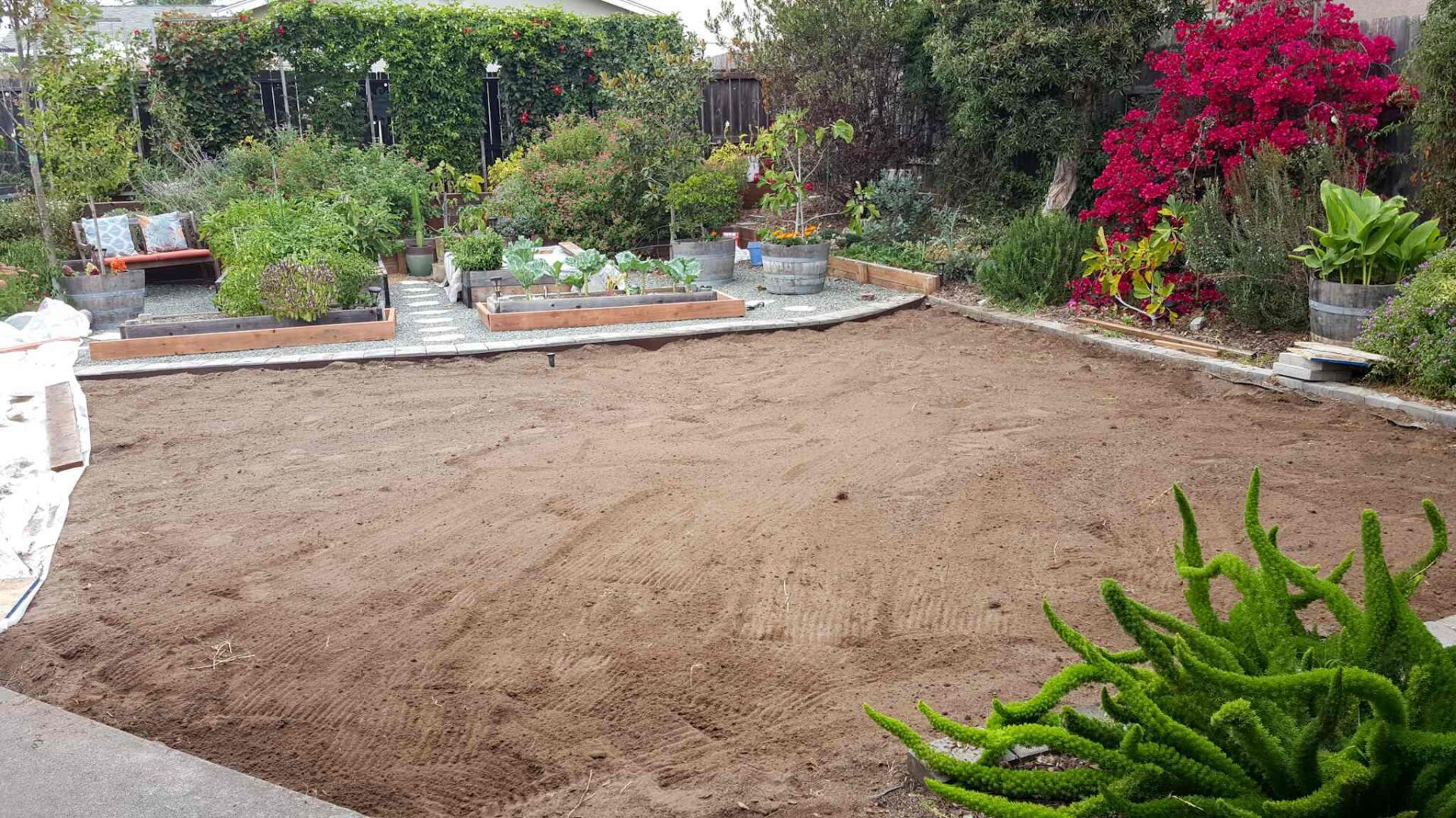 removal landscape