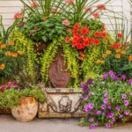 Plant Care for Native Florida Plants